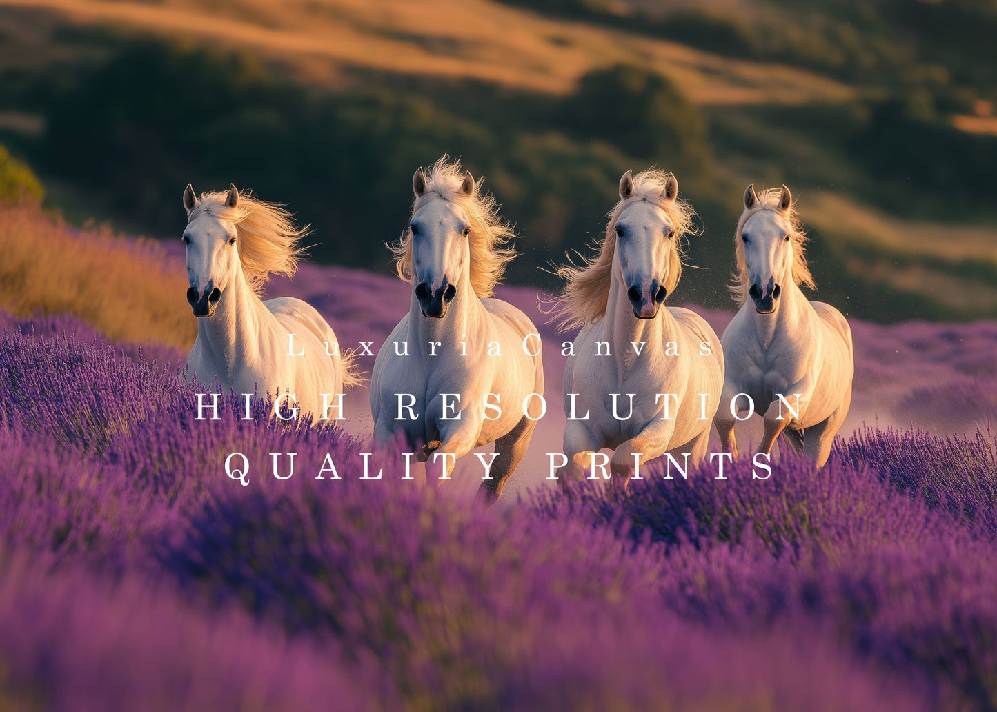 Lavender Horses Digital Art Download - Luxuria Canvas