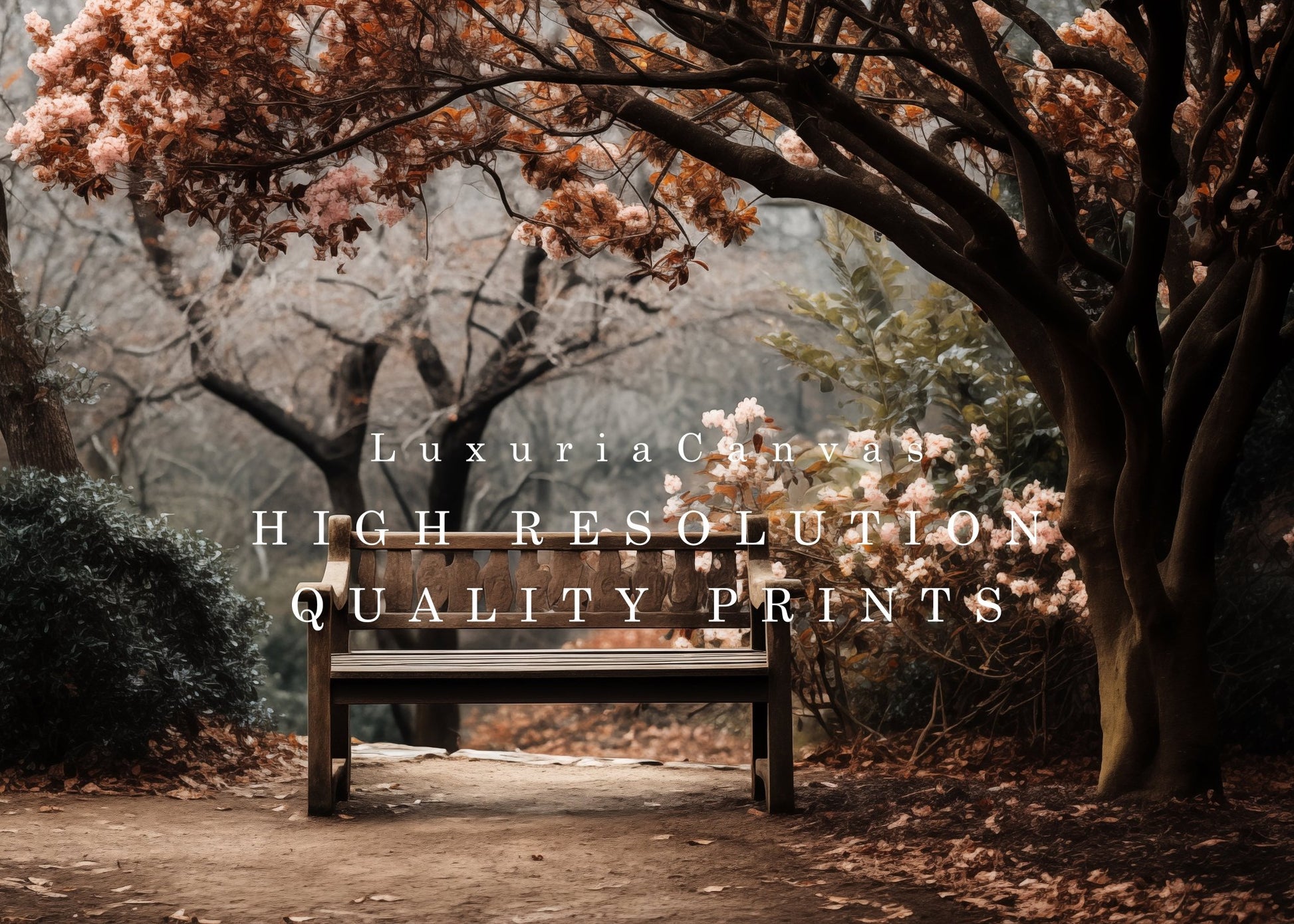 Bench Backyard Garden Digital Art Download - Luxuria Canvas