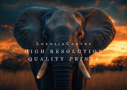 Elephant Sunset Digital Art Download - Luxuria Canvas