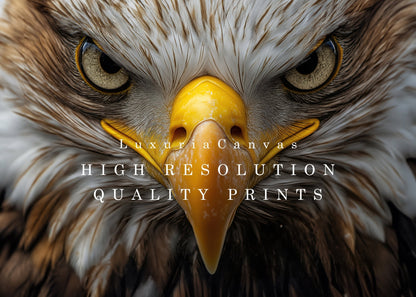 Eagle Focus Digital Art Download - Luxuria Canvas
