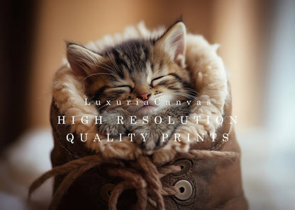 Kittens Boot, High Quality Digital Download - Luxuria Canvas