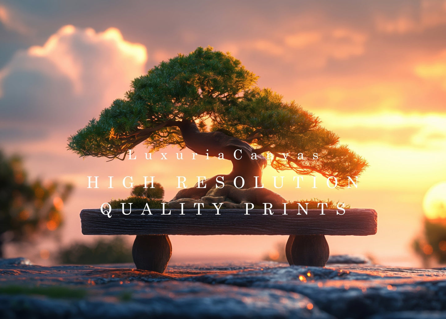 Wooden Bench Bonsai, High Quality Digital Download - Luxuria Canvas