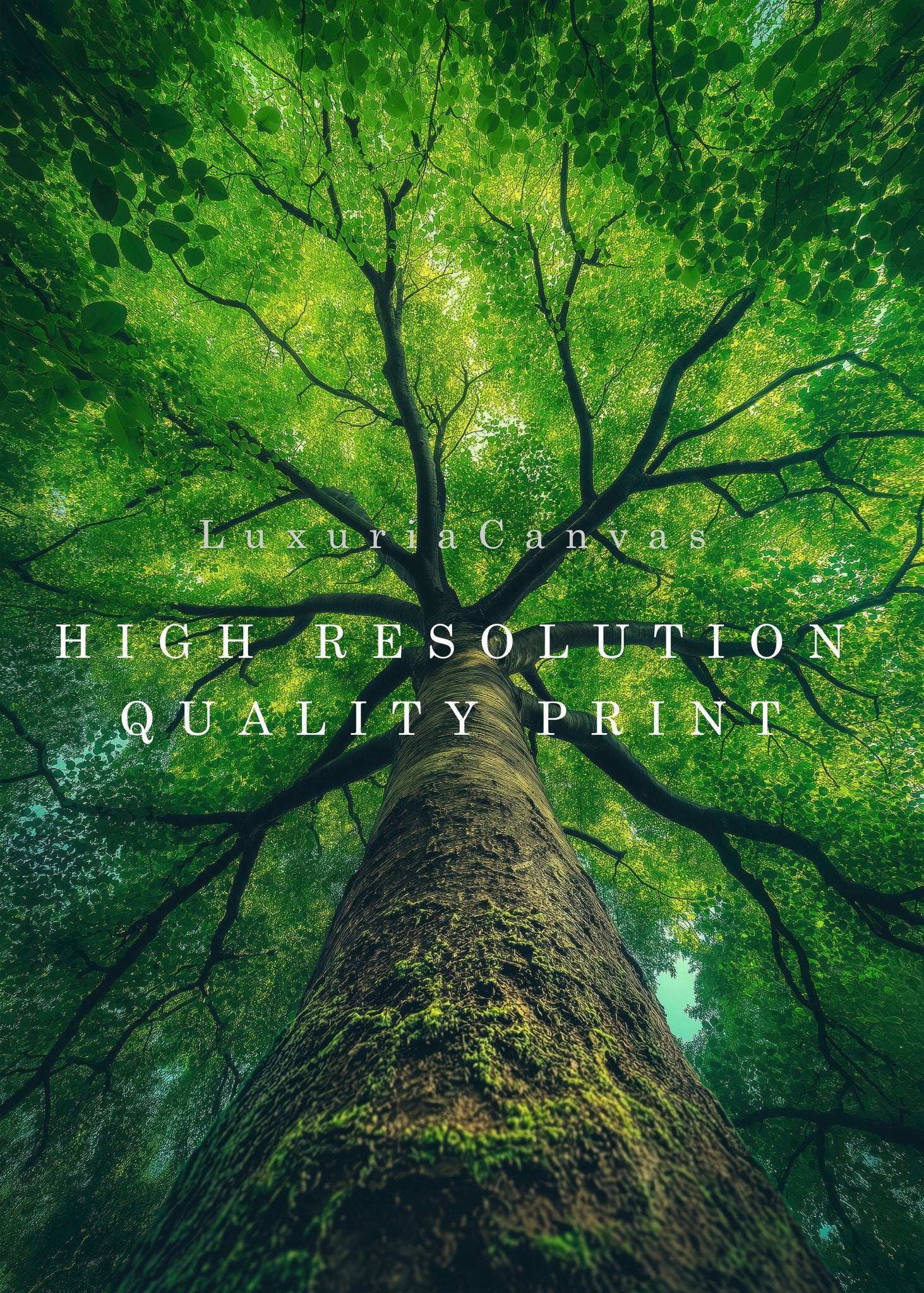 Treetop Tranquility Digital Art Download - Luxuria Canvas