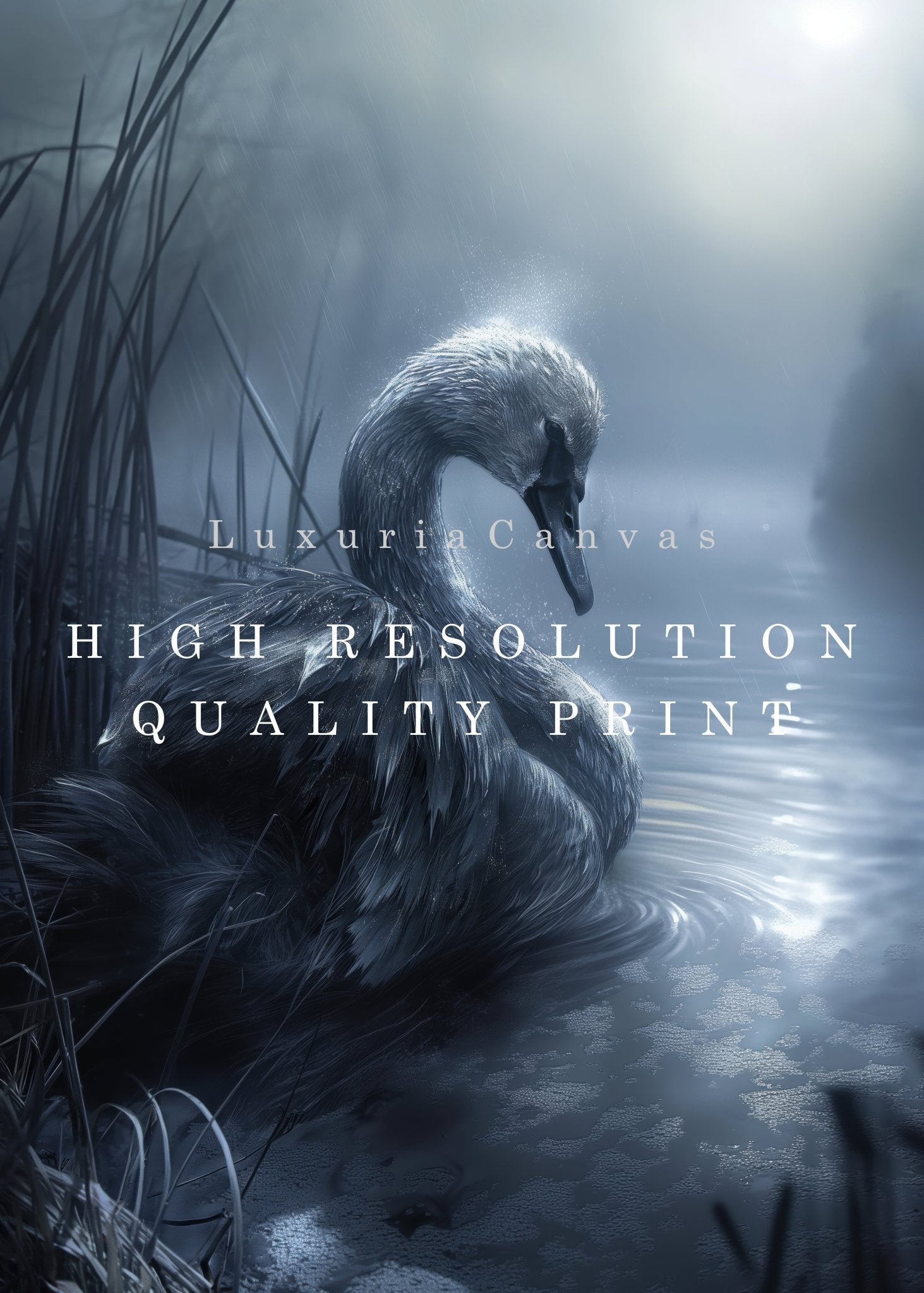 Moonlight Swan, High Quality Digital Download - Luxuria Canvas