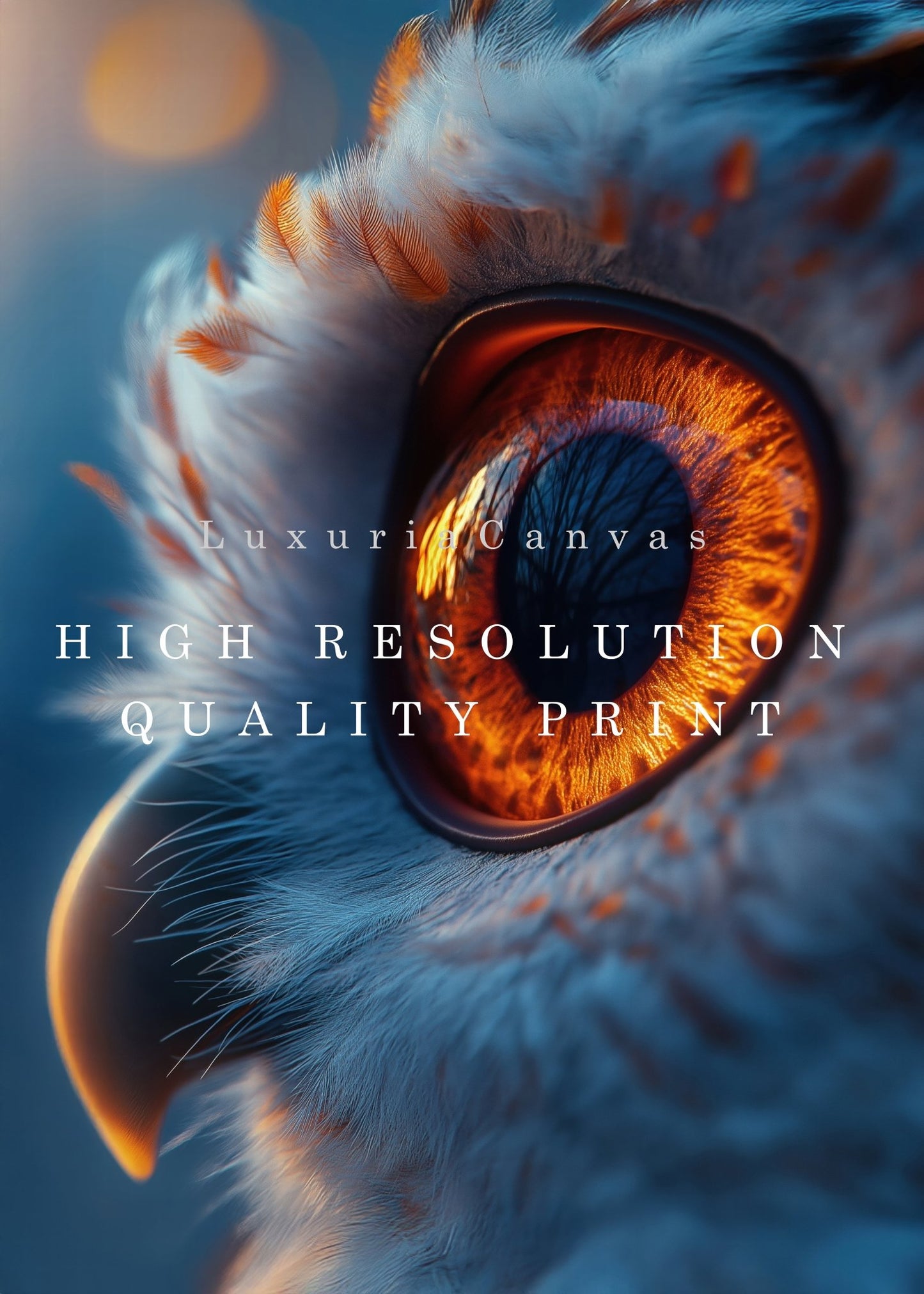 Owl Eye Digital Art Download - Luxuria Canvas