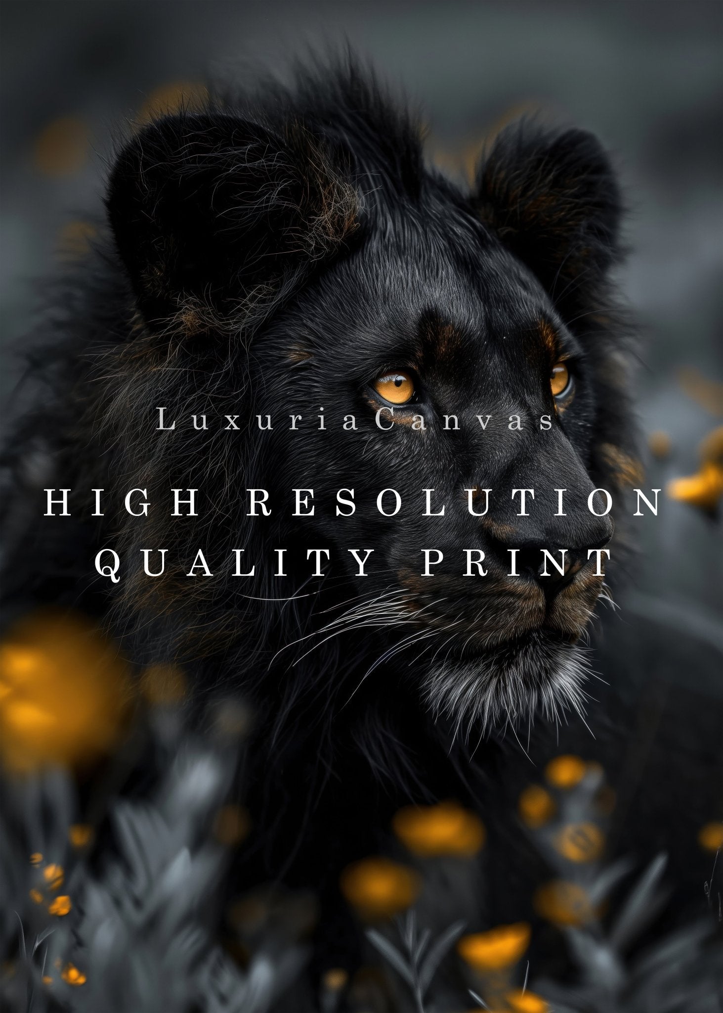Black Lion Color Touch, High Quality Digital Download - Luxuria Canvas