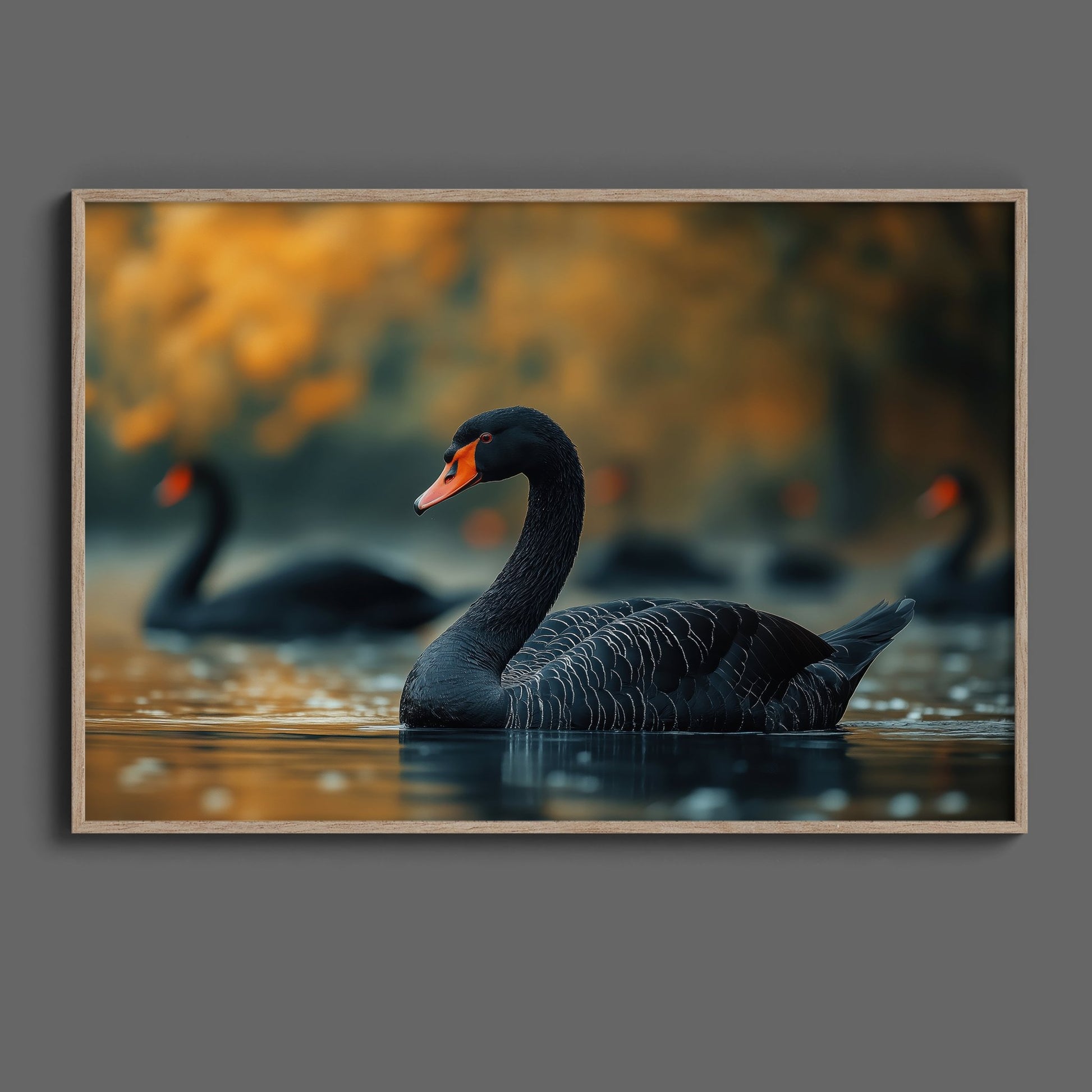 Black Swan Digital Art Download - Luxuria Canvas