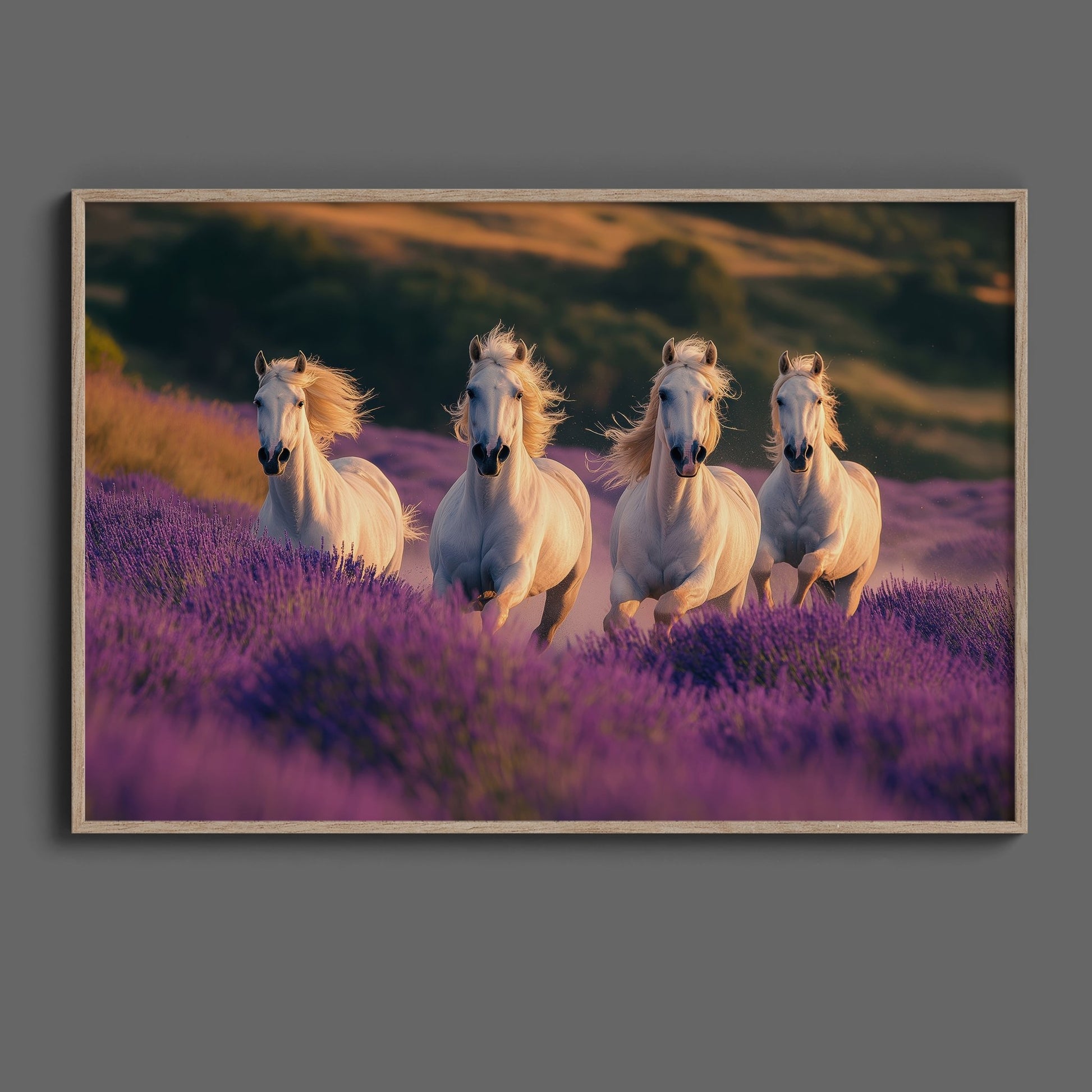 Lavender Horses Digital Art Download - Luxuria Canvas