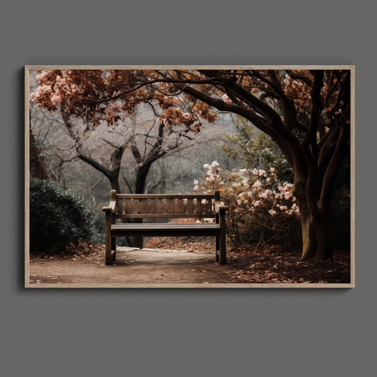 Bench Backyard Garden Digital Art Download - Luxuria Canvas