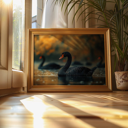 Black Swan Digital Art Download - Luxuria Canvas